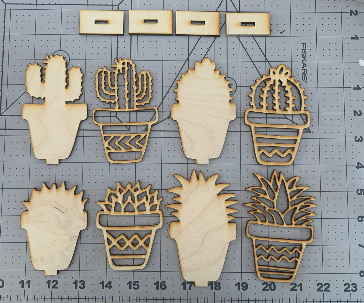 ✨Mini Succulent DIY paint craft kit
