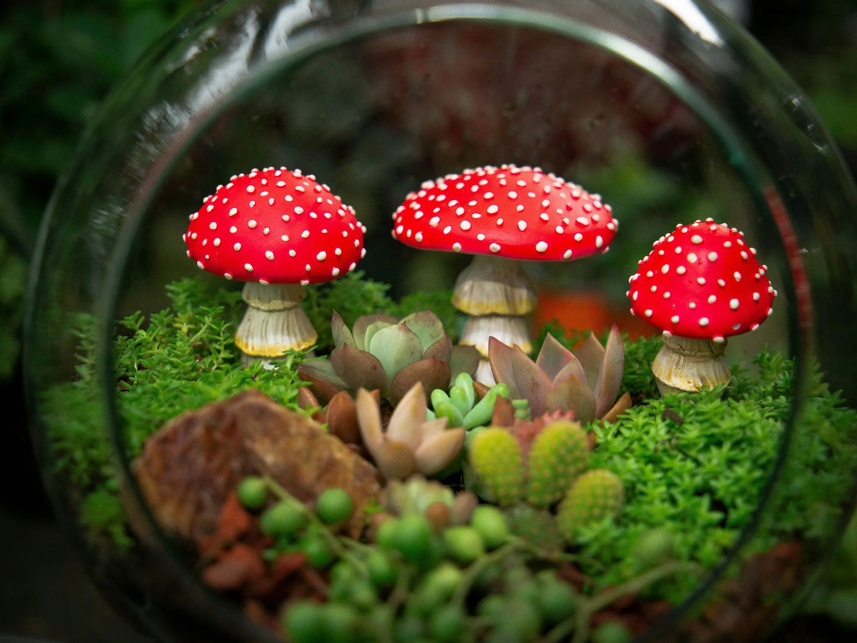 ๐๐Glow in the Dark Mushroom Garden Decor