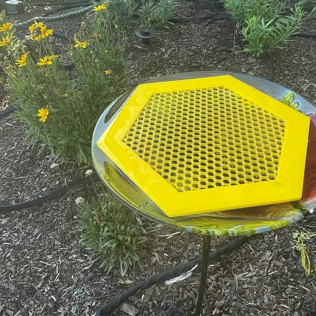 🐝Floating Bee Island
