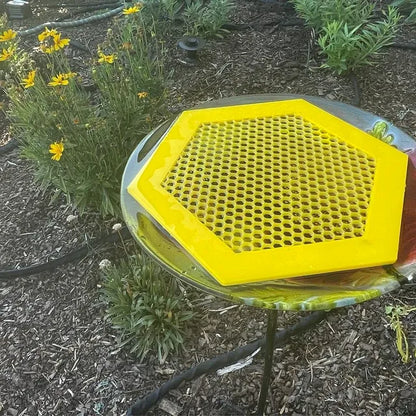 🐝Floating Bee Island