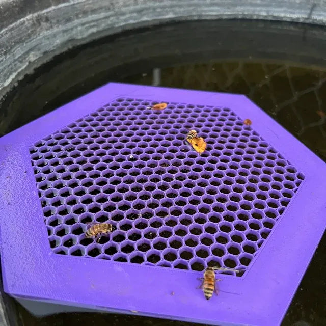 🐝Floating Bee Island