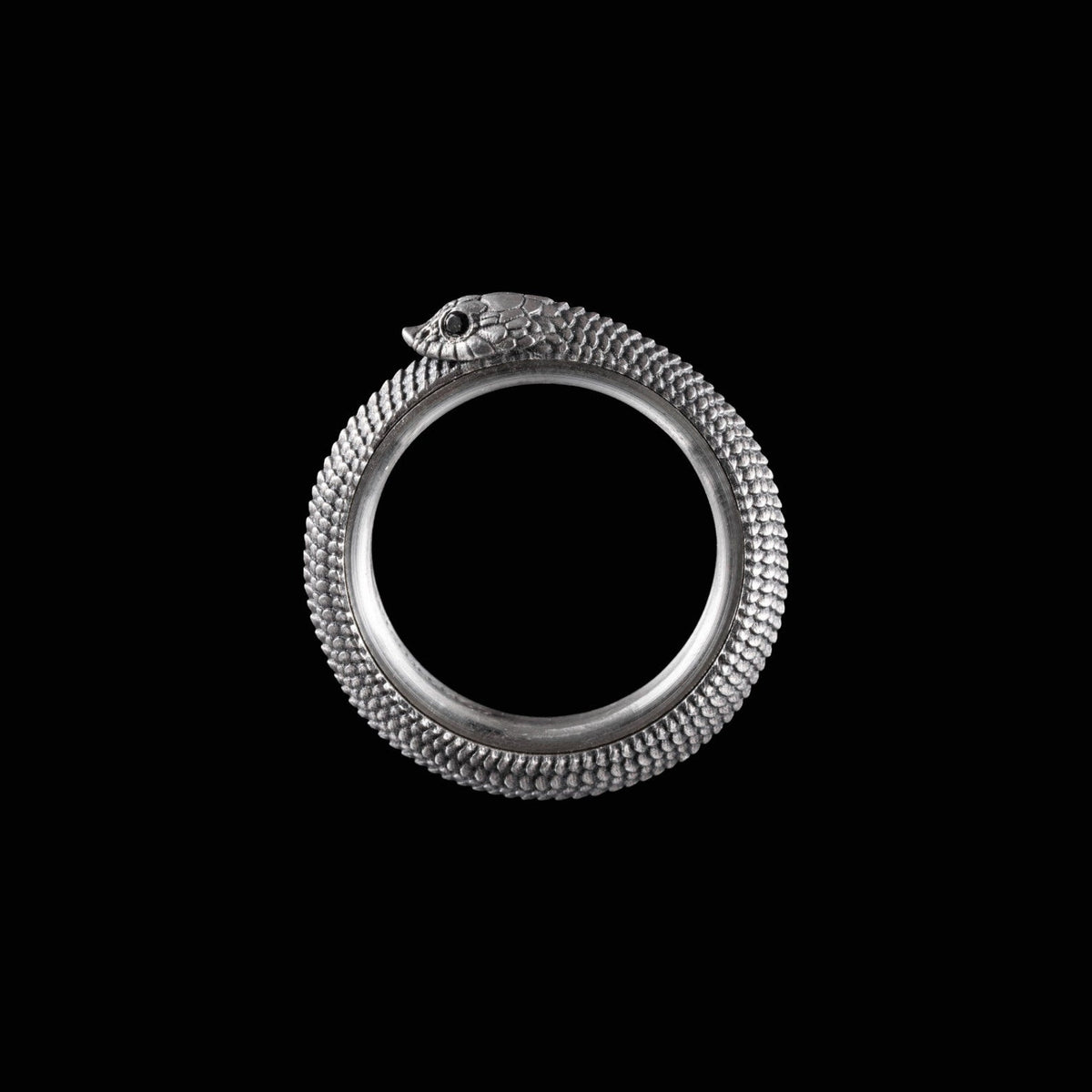 🐍Ouroboros Spin Fidget Ring