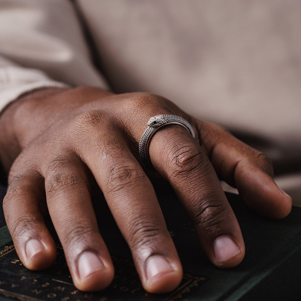 🐍Ouroboros Spin Fidget Ring